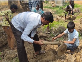 School plantation programme