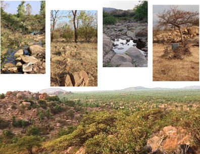 Landscape design field work