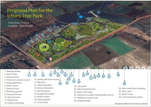 Native species plantation