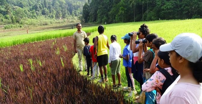 Birding trail with children