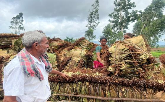 Agri-tourism farm experience with farmers