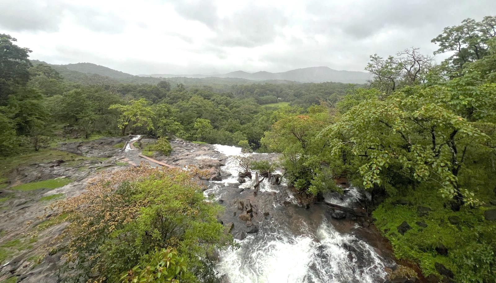 Karnataka's rich forest landscape — where Vanalok works on conservation