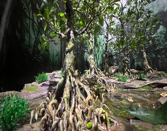 Western Ghats forest ecosystem — Vanalok conservation zone