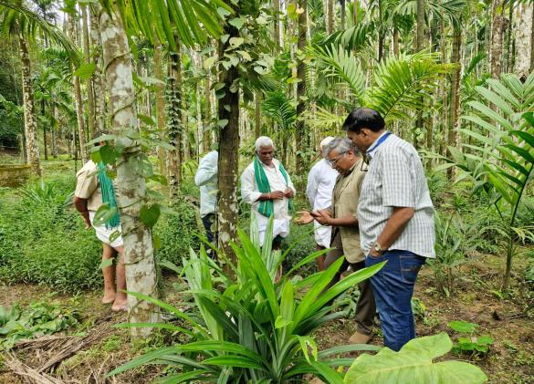 Agroforestry practices supported by Vanalok