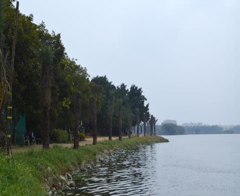 Urban lake — biodiversity and community space