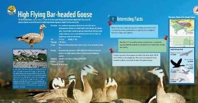 Interpretation centre development at lake