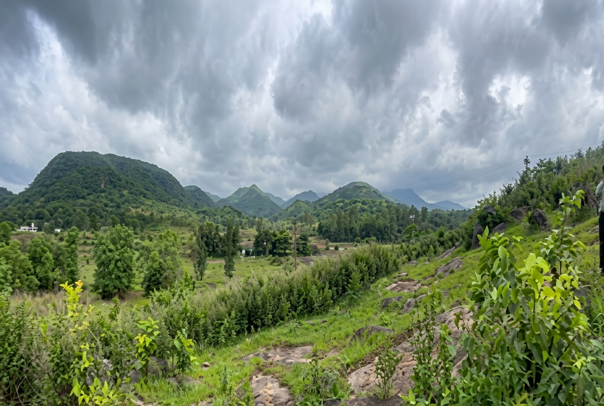 Large-scale plantation for climate change mitigation — Bidar district