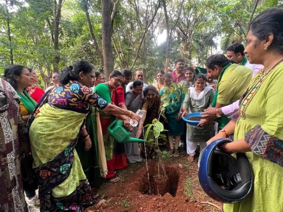 Large-scale climate plantation — native species