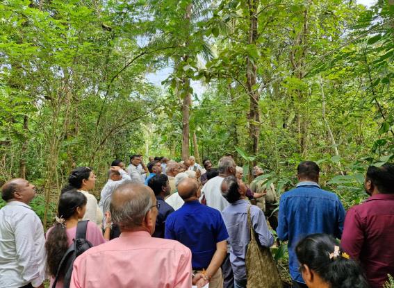 Agroforestry — integrating trees with agriculture