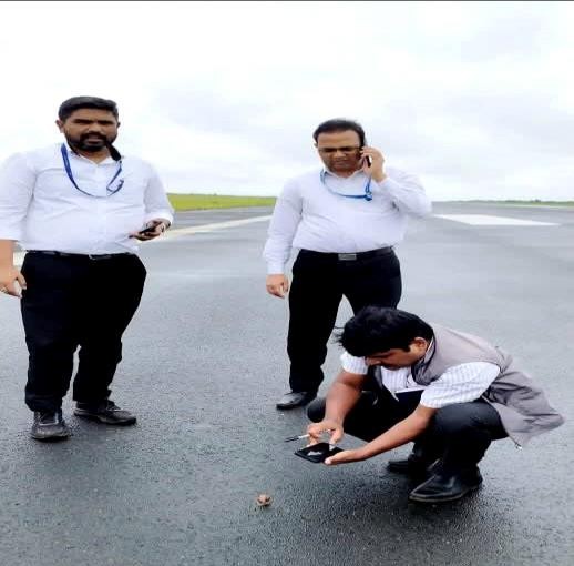 Airport wildlife safety assessment